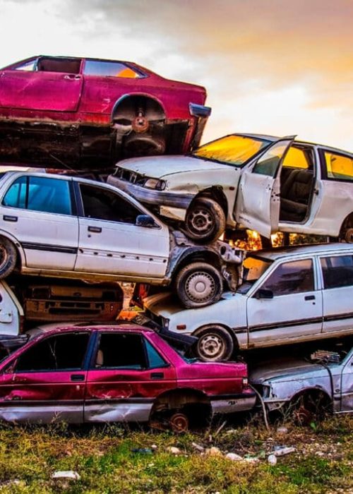 AdobeStock_264774607-1024x682